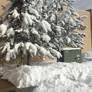 Meet your Posher, Don